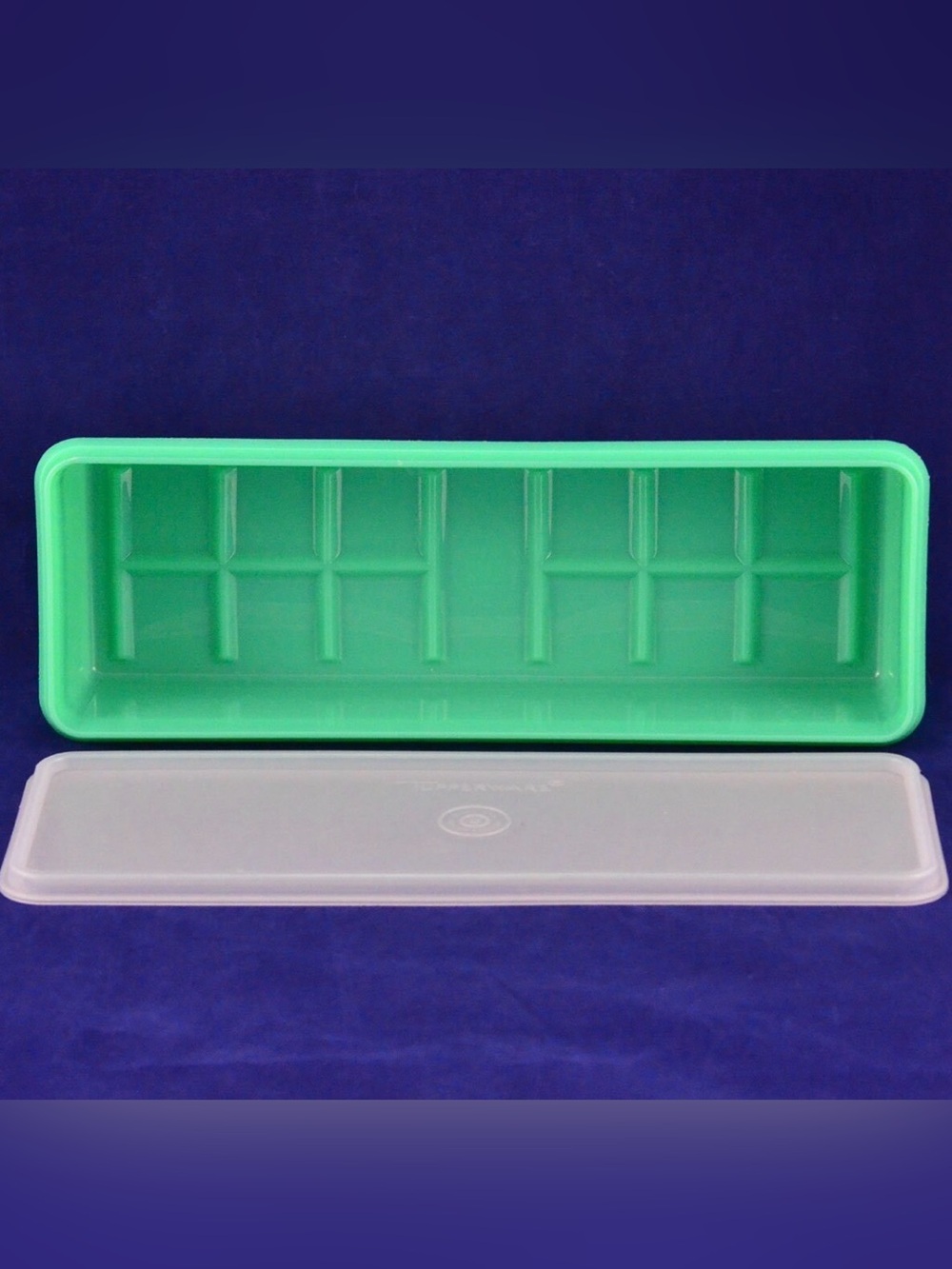 Vintage Tupperware Jadeite Green Celery Keeper 892 W/ Sheer Lid 893